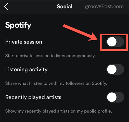 „Spotify“ mobilioji privati ​​sesija
