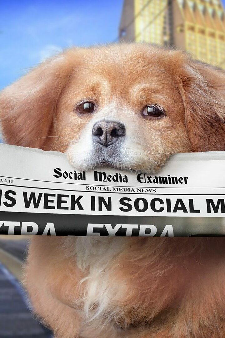 „Facebook Live“ pristato tikslinę auditoriją: šią savaitę socialiniuose tinkluose: socialinių tinklų ekspertas
