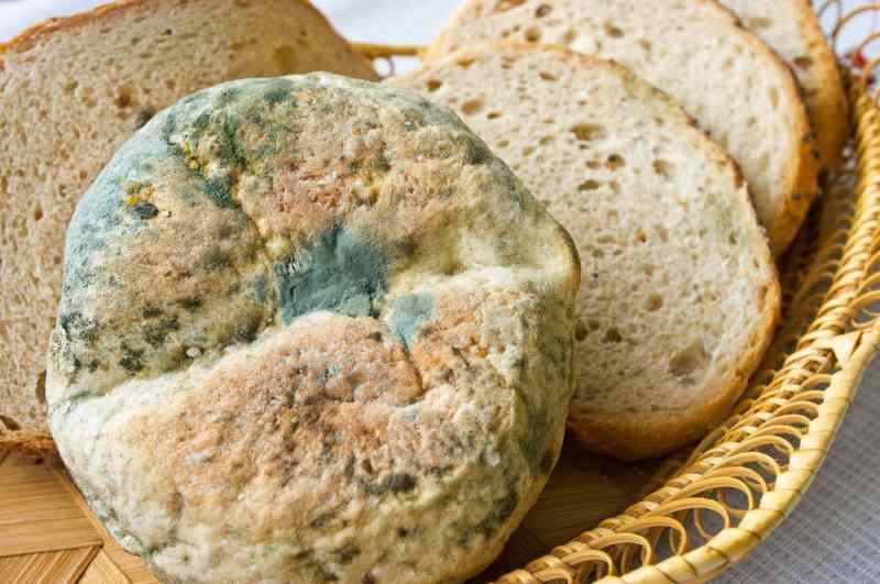 Būdai, kaip išvengti duonos pasenimo ir supelėjimo