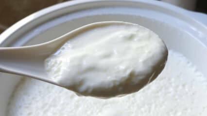 Kaip nesunku užvirinti jogurtą? Gaminkite jogurtą kaip akmenį namuose! Naminio jogurto nauda