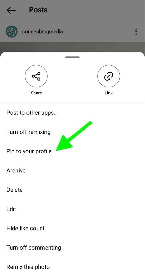 kaip-to-instagram-pin-posts-profile-grid-sonnenbergmedia-step-1