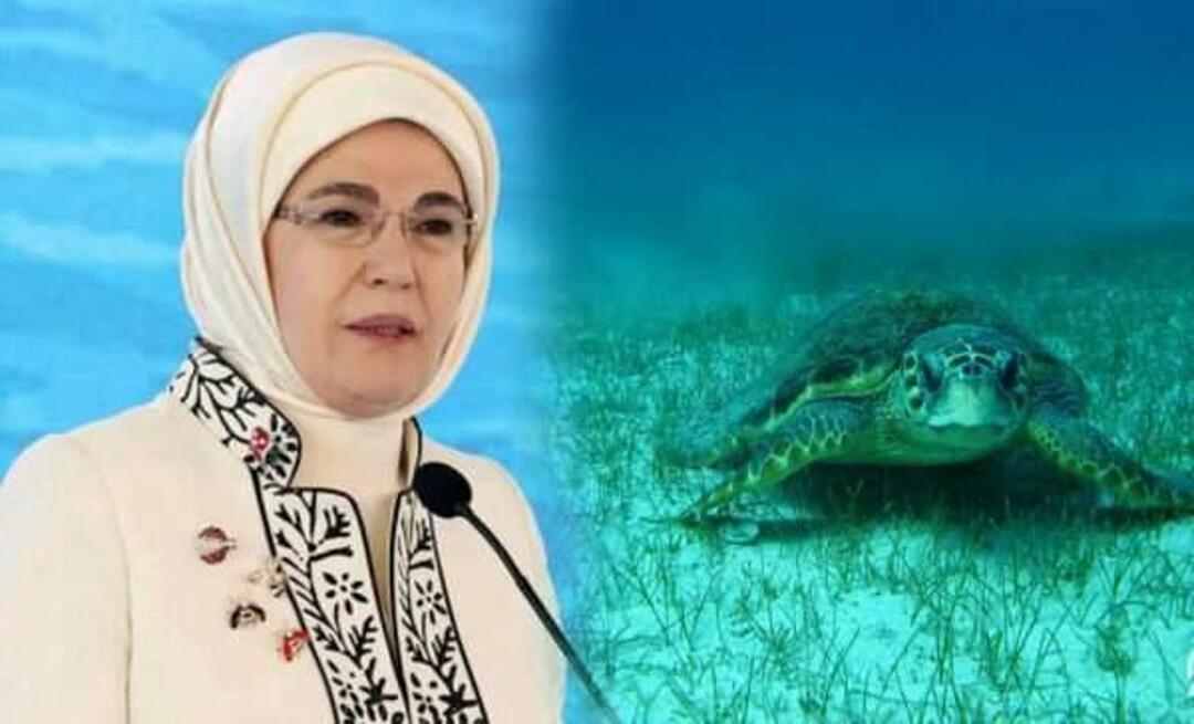Emine Erdoğan „jūros vėžlys“: „Kol mes juos saugosime, jie ir toliau gyvens“