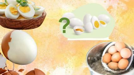 Virtų kiaušinių dieta! Ar kiaušinis pasisotina? 12 kilogramų per savaitę 