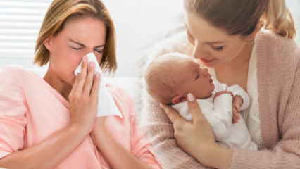 Kaip gripas praeina maitinančioms motinoms? Veiksmingiausi vaistažolių nuo gripo sprendimai maitinančioms motinoms