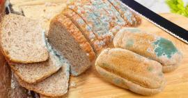 Kaip išvengti duonos pelėsio Ramadano metu? Būdai, kaip išvengti duonos pasenimo ir pelėsio