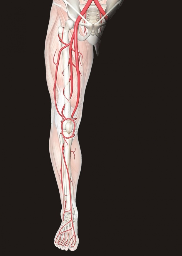 kojų nervų diskomfortas sukelia kojų skausmą