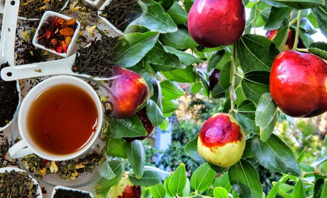 Kokie yra Ibn Sina rekomenduojamos jujube arbatos pranašumai? Kam tinka džiuvų arbata?