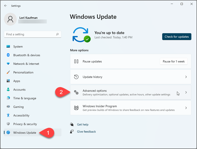 „Windows 11“ nustatymuose eikite į „Windows“ naujinimas> Išplėstinės parinktys
