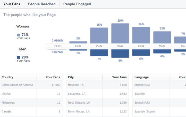„facebook“ įžvalgos apie auditorijos demografinius rodiklius
