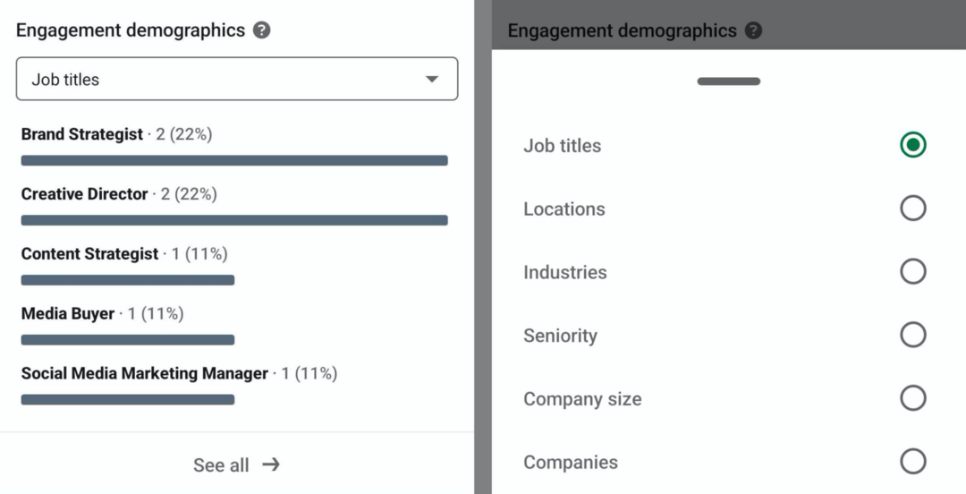 įtraukimo demografinių rodiklių vaizdas „LinkedIn“ kūrėjų analizėje