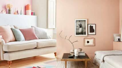 Namų dekoravimo pasiūlymai, kuriuos galima pateikti su lašišos spalva