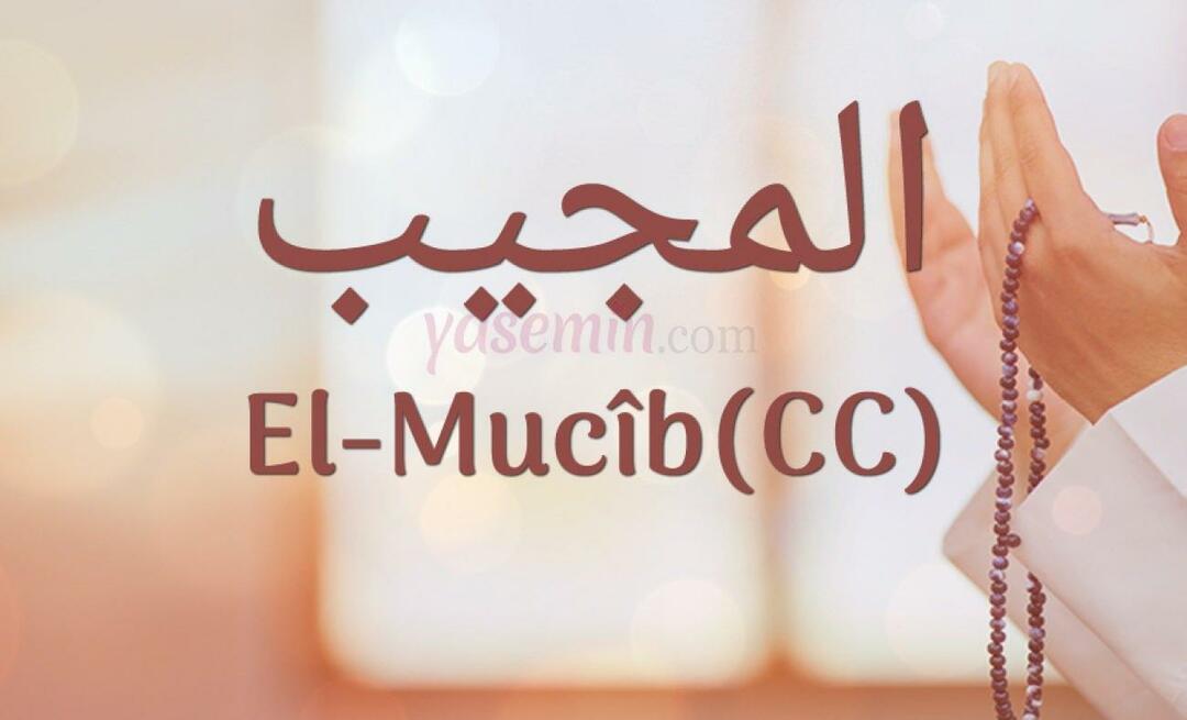 Ką reiškia al-Mujib (c.c)? Kokios yra vardo Al-Mujib dorybės? Esmaulas Husna Al-Mujibas...