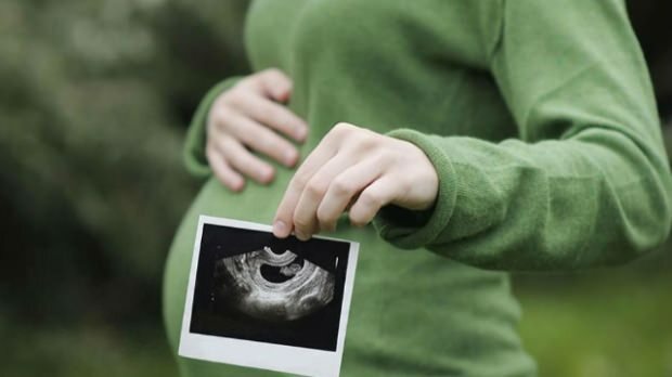 Kuris organas pirmiausia išsivysto kūdikiams? Kūdikio vystymasis kiekvieną savaitę