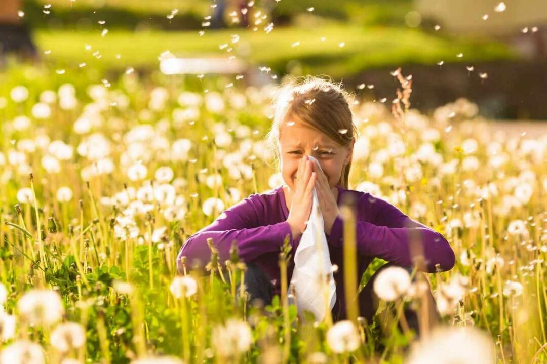 Į ką atsižvelgti norint apsaugoti vaikus nuo sezoninių alergijų