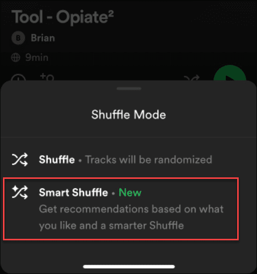 pataisyti Spotify Shuffle nemaišoma