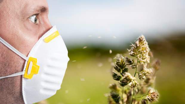 pavasario alergiją sukelia žiedadulkės, augintiniai, padidėjusi temperatūra ir dulkės