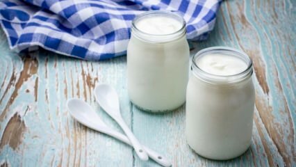 Jei suvartojate 2 puodelius namų jogurto kiekvieną dieną ...