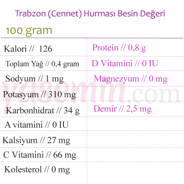 Kokie yra „Trabzon“ („Cennet“) datos pranašumai? Kokios ligos yra naudingos persimonui?