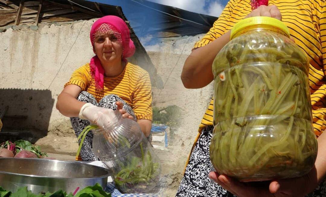 Kas yra pezik agurkas ir kaip jis gaminamas? Kuo naudingi marinuoti agurkai „Sivas dal pezik“?