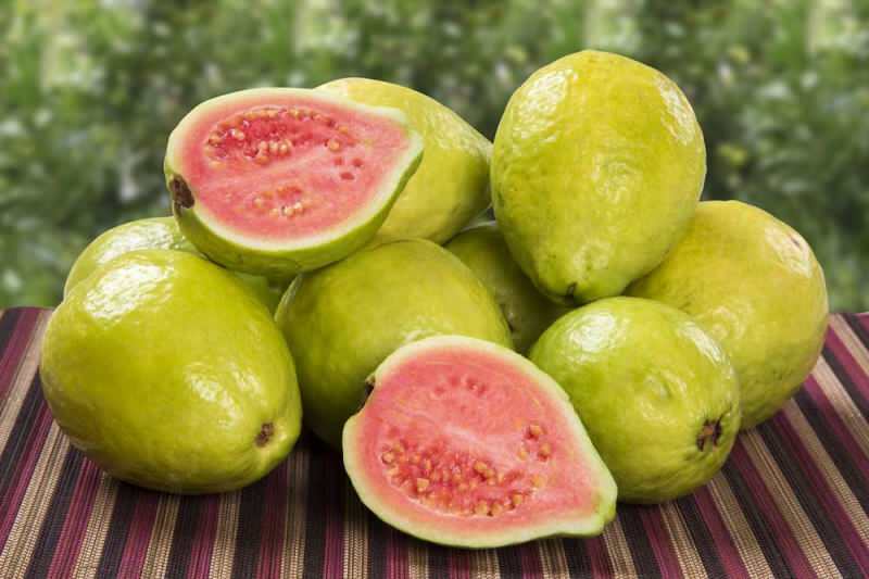 guavano vaisiai praeina kaip braškės 