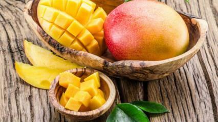 Kokie yra „Mango“ pranašumai? Kokioms ligoms mangai yra naudingi? Kas atsitiks, jei suvartosite įprastus mangus?