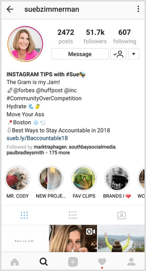 „Instagram“ kelių istorijų akcentai profilyje