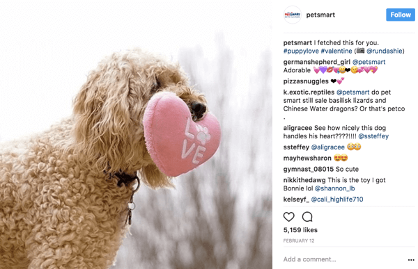 Kai „PetSmart“ dar kartą pasidalija naudotojų nuotraukomis „Instagram“, jie priskiria nuotraukai originalų plakatą, esantį antraštėje.
