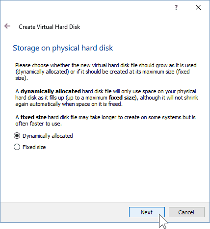 06 Nustatykite VM saugyklos tipą („Windows 10“ diegimas)