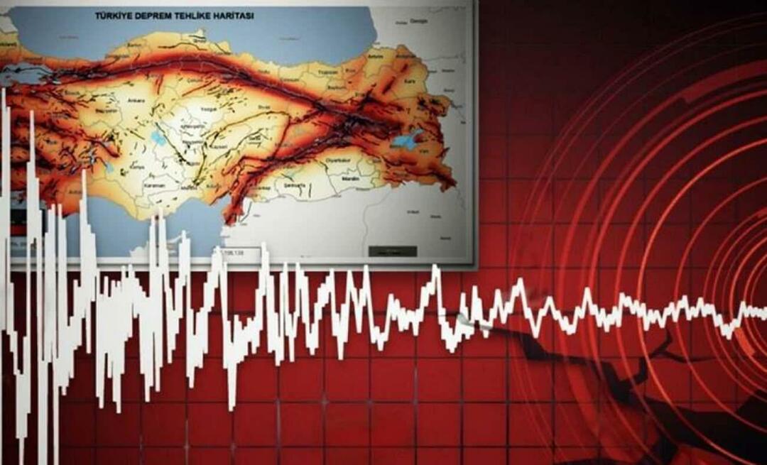 Kokios yra žemės drebėjimo zonos Turkijoje? Kaip atlikti gedimo linijos užklausą?
