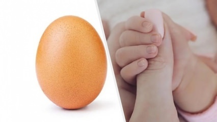 Rekordinis kiaušinis, kuriam patinka 28 milijonai