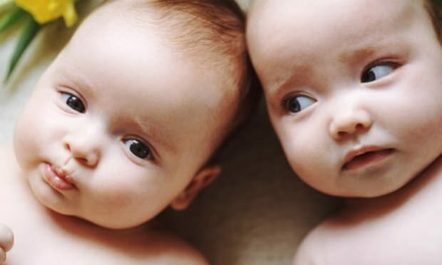Jei šeimoje yra dvynukų, ar padidės dvynių nėštumo tikimybė? Kartos arkliai?
