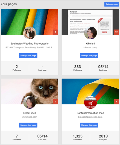 „Google +“ puslapių informacijos suvestinė
