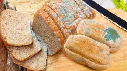 Kaip išvengti duonos pelėsio Ramadano metu? Būdai, kaip išvengti duonos pasenimo ir pelėsio