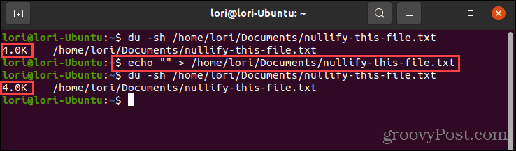 „Linux“ komandos echo naudojimas su tuščiomis kabutėmis