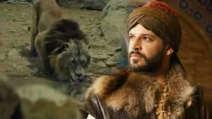 Kas yra „Bozkır Lion Celaleddin“ žaidėjai? Kas yra Stepės liūto Celaleddino tema?