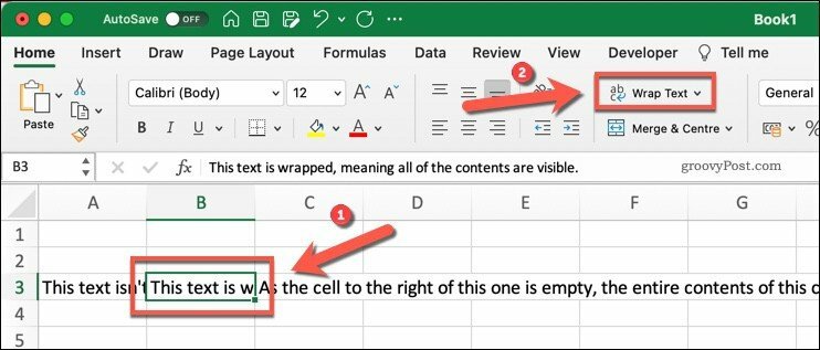„Wrap Text“ mygtukas „Microsoft Excel“