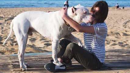 Jauna aktorė Alina Boz atsisveikino su savo negyvu šunimi! Kas yra Alina Boz?