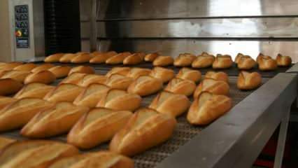 Ekspertai perspėjo: kepkite duoną į 90 laipsnių orkaitę 10 minučių