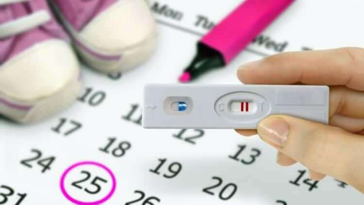 Kiek dienų po mėnesinių pabaigos? Menstruacijų ir nėštumo santykis