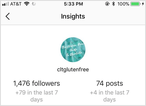 „Instagram Insights“ apžvalga
