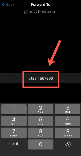 iphone skambučių peradresavimo numeris