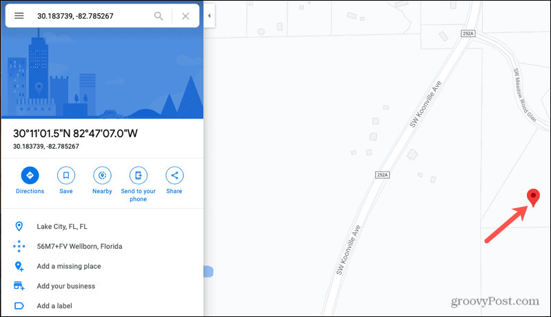 Išsami vietos informacija „Google Maps Online“