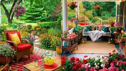 Gėlės, kurias galėsite panaudoti savo sode ir balkonuose rudenį!