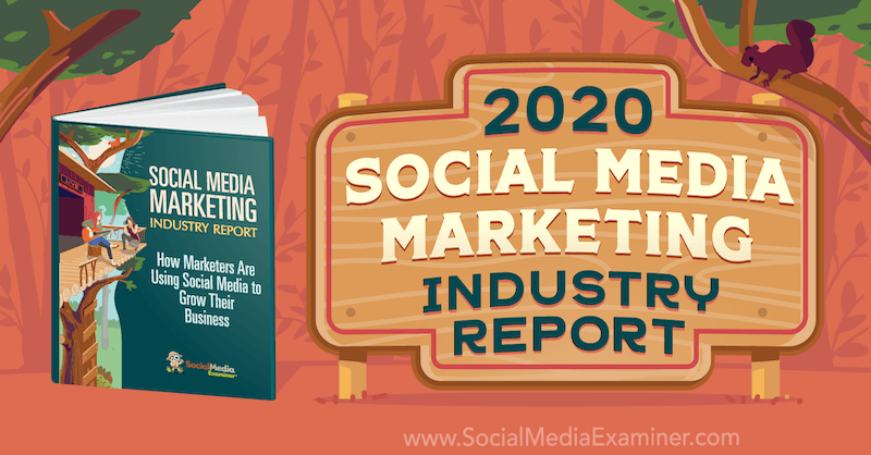 2020 m. Michaelo Stelznerio socialinės žiniasklaidos rinkodaros pramonės ataskaita apie socialinės žiniasklaidos ekspertą.