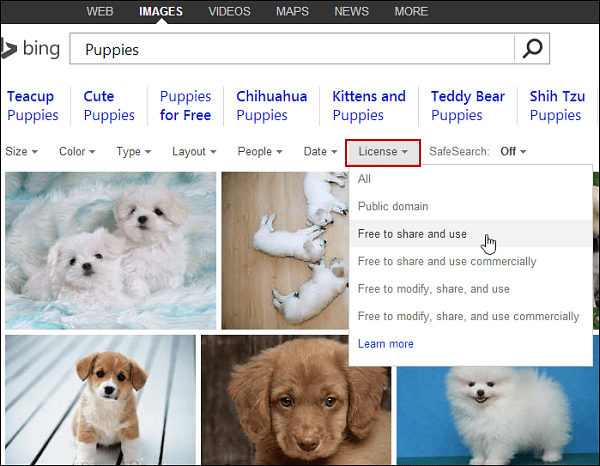 Dienoraščių įrašams naudokite „Bing“ ir „Google“ vaizdų paiešką