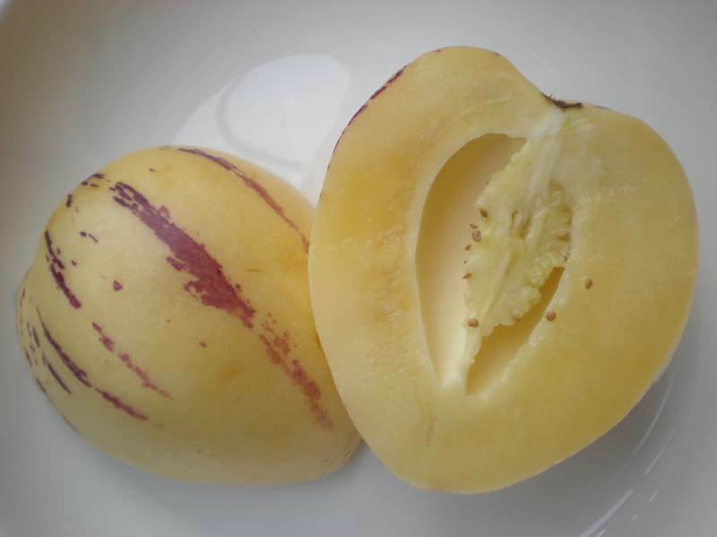 pepino vaisiai supjaustomi kaip melionas kaip vaizdas