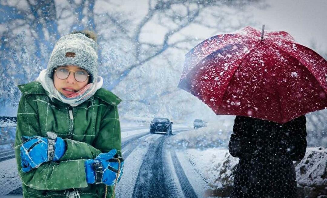 Kas yra La Nina žiema? Kada prasideda La Ninos žiema? Kada pasnigs?