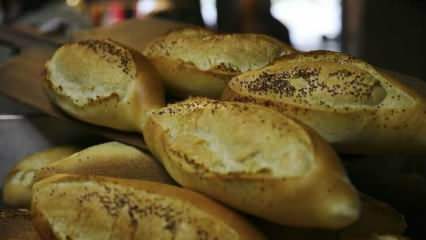 Kaip vertinama pasenusi duona? Receptai, pagaminti su pasenusia duona