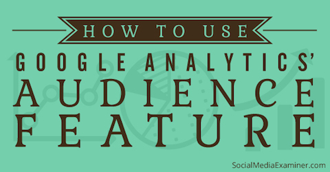 „Google Analytics“ auditorija