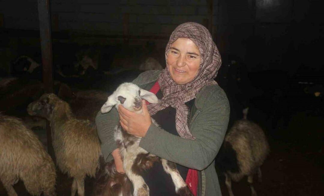 Jis augina gyvulius už paramą, kurią gauna iš valstybės! „Šio projekto dėka nusipirkome 100 avių“